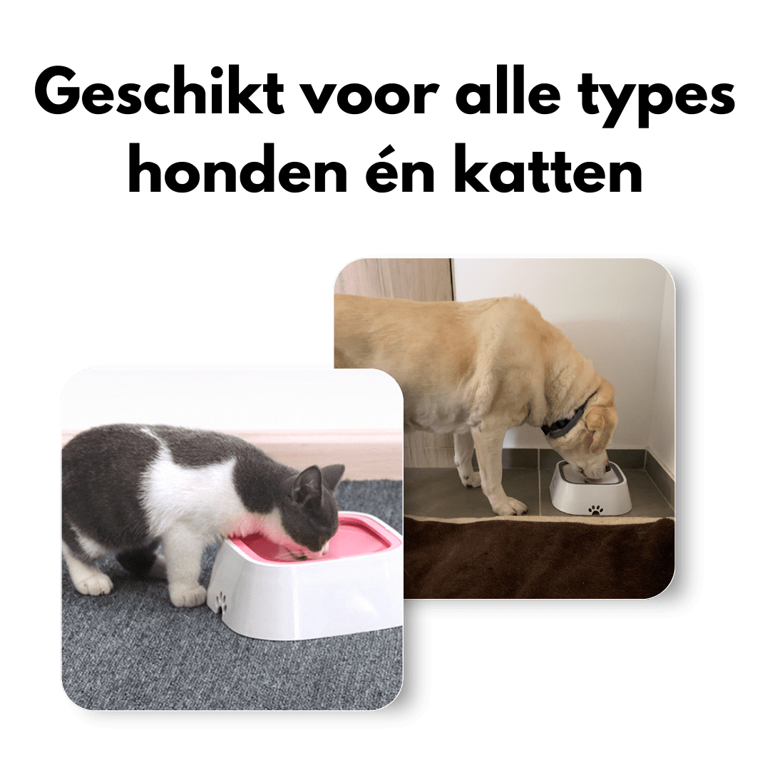 Supreme DierenDrinkbak™  | Antilek drijvende drinkbak voor huisdieren