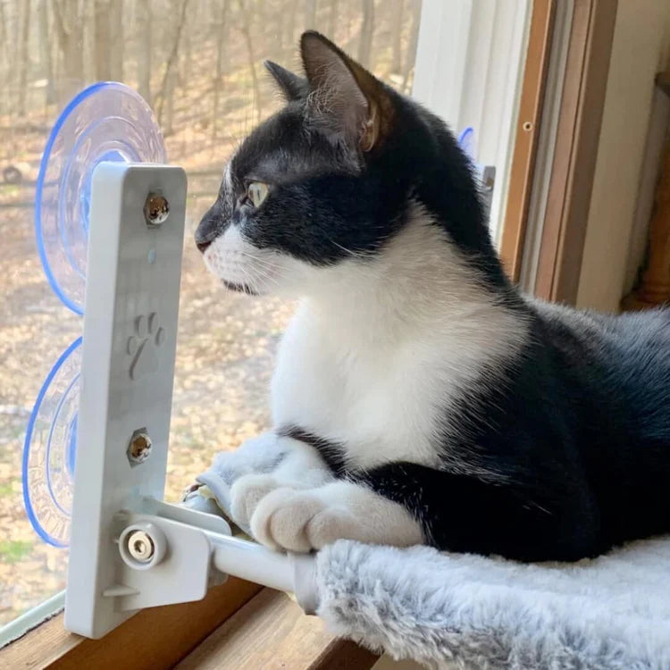 Supreme KattenHangmat™  | De ultieme kattenhangmat voor uw kat in huis!