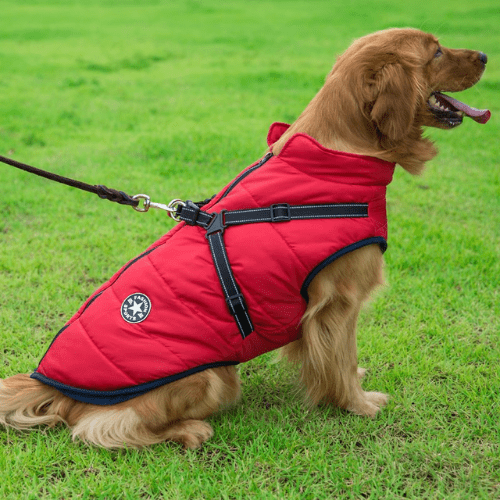 Supreme HondenJas™ | houdt je hond warm , droog en veilig