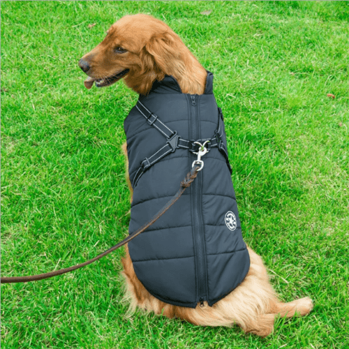 Supreme HondenJas™ | houdt je hond warm , droog en veilig