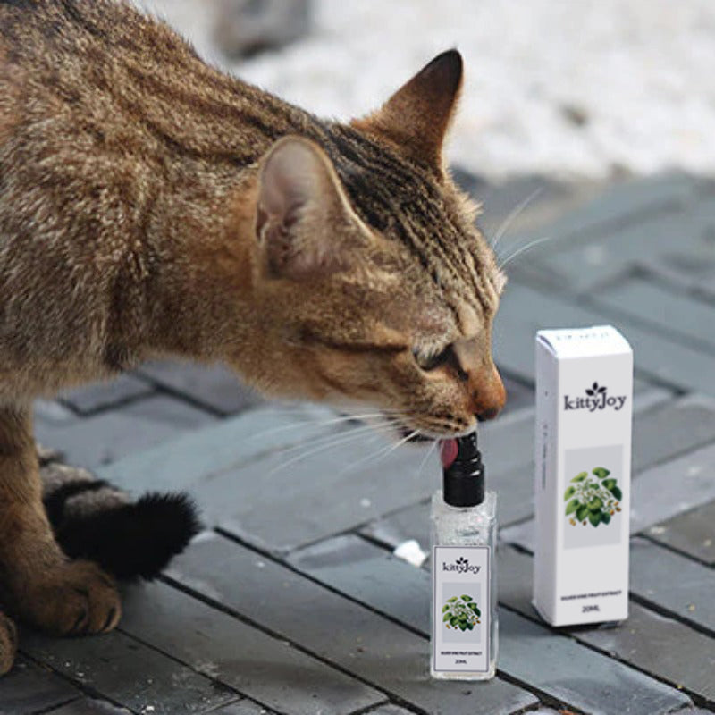 Supreme KittyJoy™ 1+1 GRATIS!  Biologische Kattenspray voor je kat