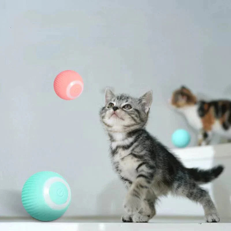 Supreme Speelballetje™ | Elektrische rolbal voor katten