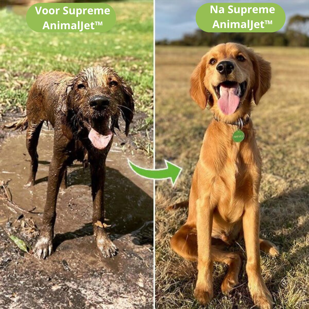 Supreme AnimalJet™ | Het ultieme hulpmiddel om je huisdier te verzorgen zonder stress