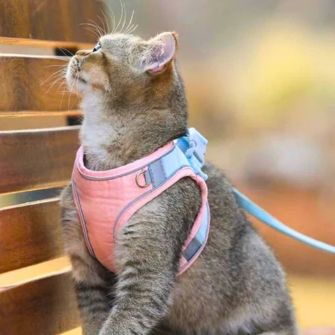 Supreme KattenRiem™ | Zacht en stijlvol kattenharnas met reflecterende strip