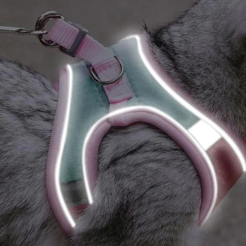 Supreme KattenRiem™ | Zacht en stijlvol kattenharnas met reflecterende strip