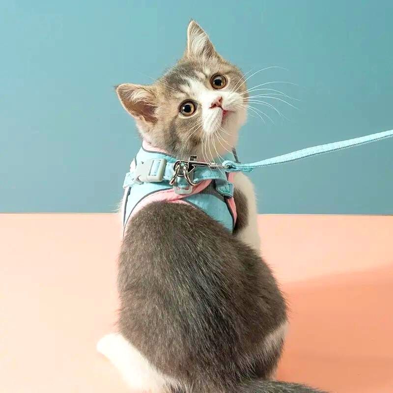 Supreme KattenRiem™ | Zacht en stijlvol kattenharnas met reflecterende strip