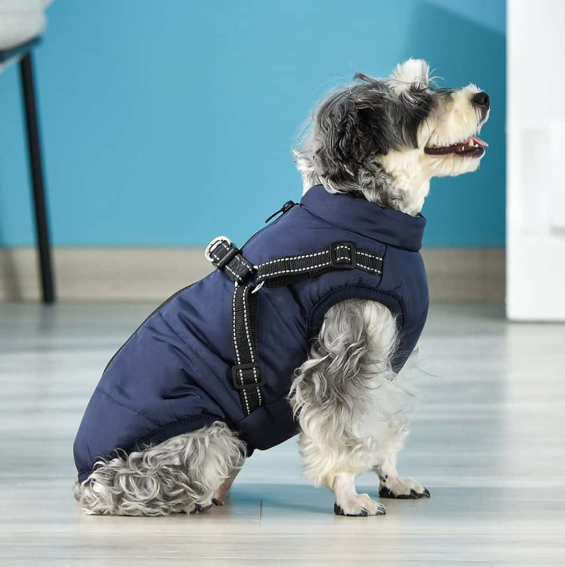 Supreme HondenJas™ | houdt je hond warm , droog en veilig