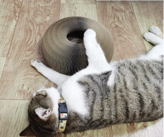 Supreme KrabSpeelgoed™ |  Vervormbare katten speelgoed en krabpaal in één