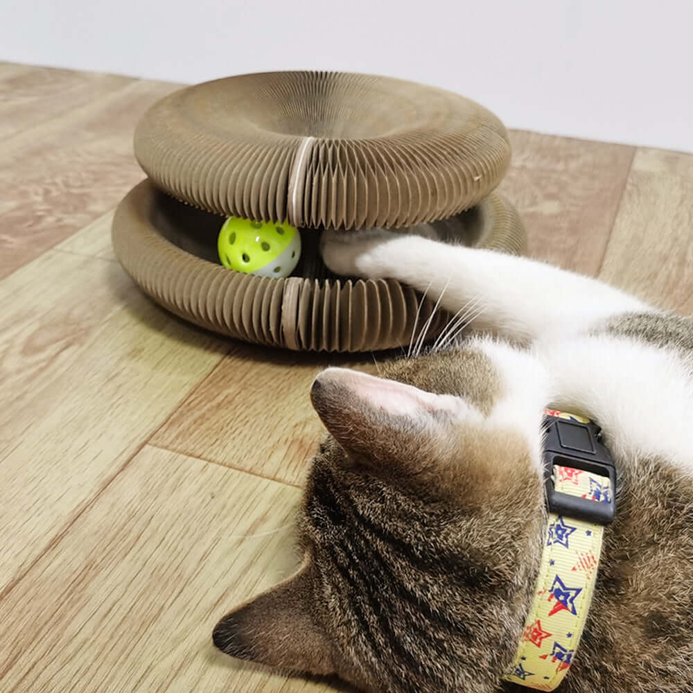 Supreme KrabSpeelgoed™ |  Vervormbare katten speelgoed en krabpaal in één